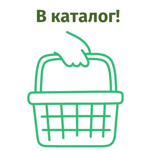 pl (1).png