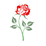 Саженцы роз